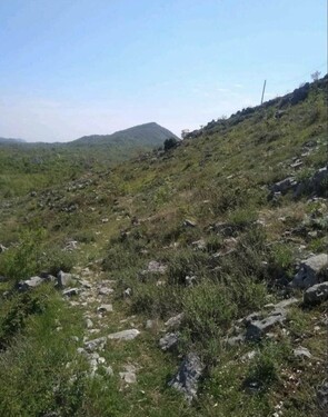 Bild 4 - Grundstück in Cetinje zum Kaufen