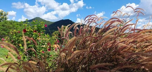 Bild 2 - Grundstück zum Kaufen in Itati - Guaira