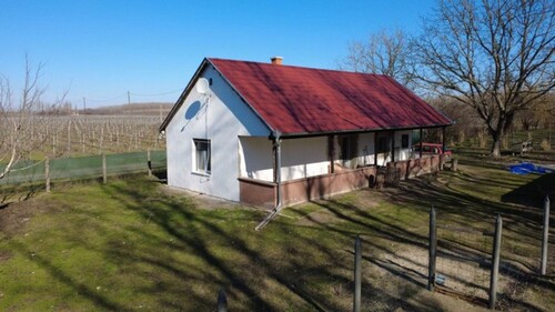 Bild 1 - Bauernhaus 75m2 BauerhofGrund 5784m2 im Komitat Bacs-kiskun