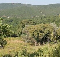 Lager Private Nutzung mit Grundstück 18000m2 - Kreis Ulcinj