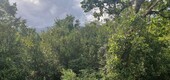 Bild 1 - Baugrundstück mit Meerblick neben der Straße