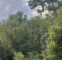 Baugrundstück mit Meerblick neben der Straße - Kastav