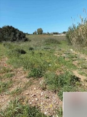 Bild 3 - Grundstück in 25200