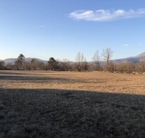 GROBNIK Baugrundstück 5000m2 - 550.000,00&nbsp;EUR Kaufpreis, ca.&nbsp; 5.000,00&nbsp;m&sup2; in Cavle (PLZ: 21460)
