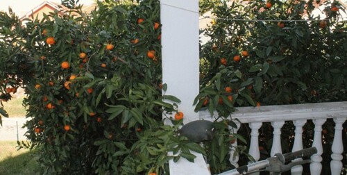 Bild 2 - 5 Zimmer Einfamilienhaus zum Kaufen in Kreis Ulcinj