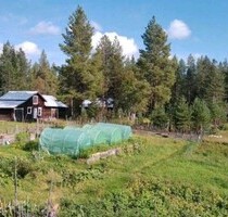 Selbstversorger Bauernhof Alleinlage in Lappland - Jörn