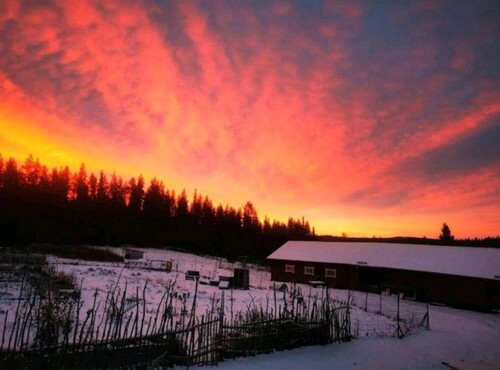 Bild 3 - 5 Zimmer Einfamilienhaus in Jörn