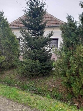 Bild 1 - Haus ruhige Lage 50 km von Plattensee