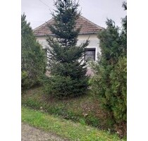Haus ruhige Lage 50 km von Plattensee - Pápasalamon