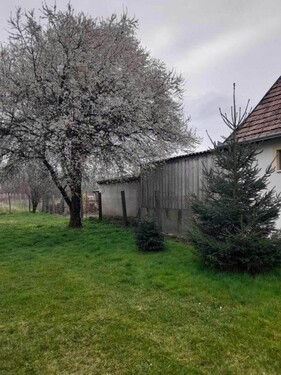 Bild 2 - 3 Zimmer Einfamilienhaus zum Kaufen in Pápasalamon