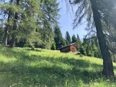 Bild 1 - Berghütte zu verkaufen in Belluneser Dolomiten