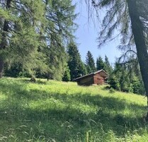 Berghütte zu verkaufen in Belluneser Dolomiten - PADOLA