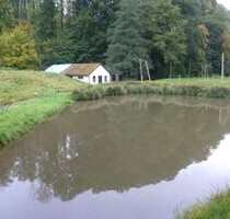 Traumhafte ruhige Alleinlage mit Teichen - Kirf