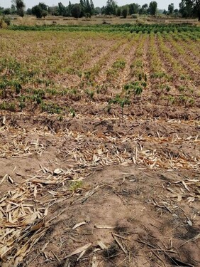 Bild 2 - Grundstück zum Kaufen in Ban Wang Khon Phat