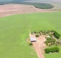 Sojafarm 25000ha im Bundesstaat Para Brasilien - Redenção