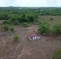 Brasilien 704 Ha Farm im Bundesstaat Para - Viseu Pará