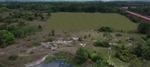 Bild 2 - Grundstück zum Kaufen in Viseu Pará