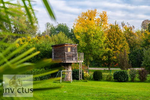 Garten - 