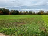 Foto - Grundstück zu verkaufen in Frankfurt am Main 49.500,00 € 3568 m²