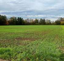 Grundstück zu verkaufen in Frankfurt am Main 49.500,00 € 3568 m²