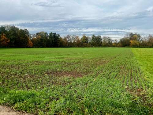 Foto - Grundstück zu verkaufen in Frankfurt am Main 59.900,00 € 3568 m²