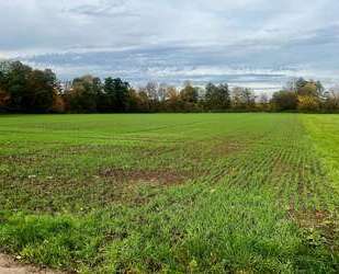 Grundstück zu verkaufen in Frankfurt am Main 59.900,00 € 3568 m²