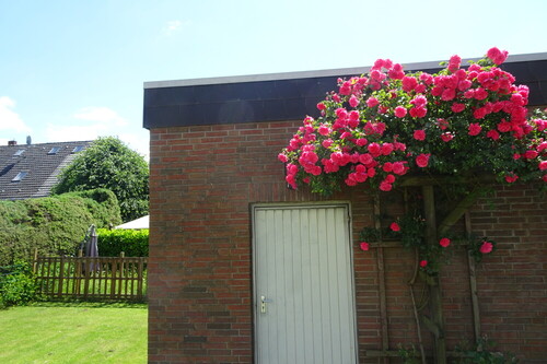 Garage5 - 