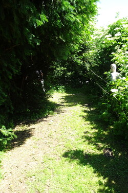 Weg zum Hühnerstall1 - 