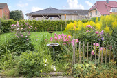 Gartenimpression - 