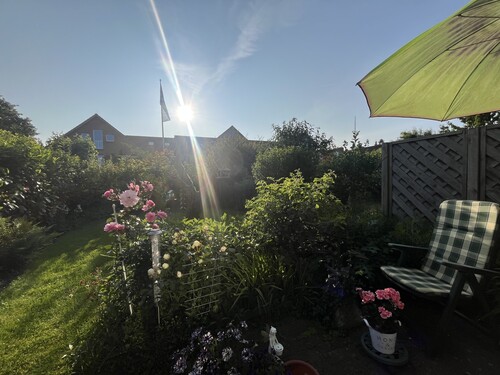 Gartenimpression - 
