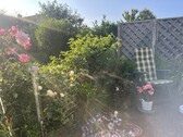 Gartenimpression - 