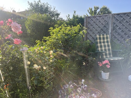 Gartenimpression - 