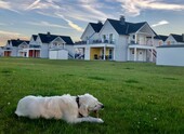 Für Mensch und Tier ein Paradies – hier fühlen sich alle willkommen - 