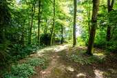Park - 