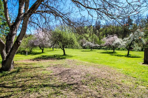 Parkähnlicher Garten mit etabliertem Baumbestand und großzügigen Freiflächen - 