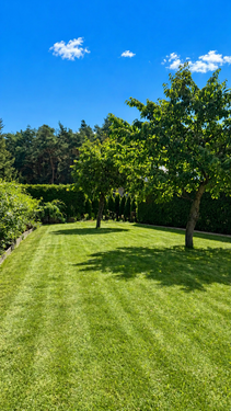 Gartenbereich vor dem Balkon - 