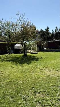 Großzügiger Obstgarten - 