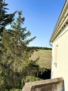 Ausblick vom Balkon - 