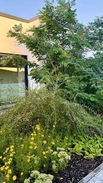 Blick aus den Apartments - 