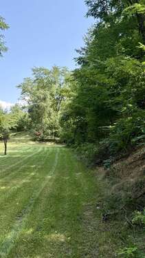 Grundstücksfläche - 