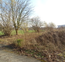Sackgassenlage! Baugrundstück mit Blick auf das Wiehengebirge in Bad Oeynhausen-Wulferdingsen