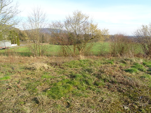Titel - Baugrundstück zum Kaufen in Bad Oeynhausen
