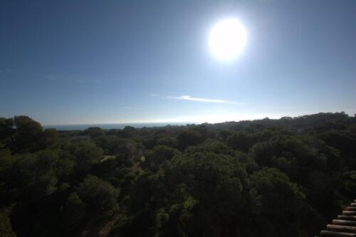 Foto - Appartement in Guardamar del Segura