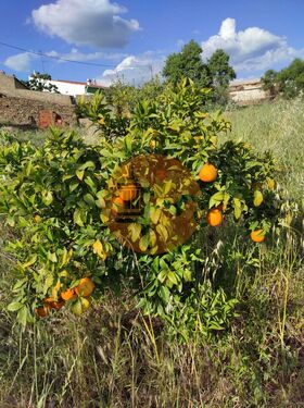 Foto - Einfamilienhaus in Castro Marim zum Kaufen