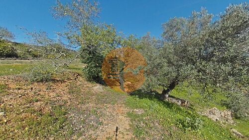 Foto - Grundstück in Conceicao e Estoi zum Kaufen