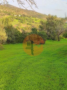 Foto - 3 Zimmer Einfamilienhaus zum Kaufen in Conceicao e Estoi