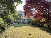Der Miniwald - 