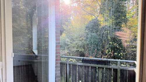 Die grüne Ausicht - 