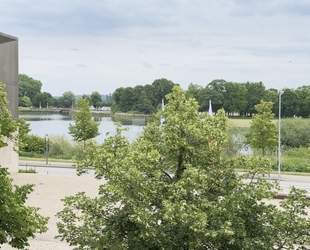 Repräsentatives Wohnen am Schlossgarten: Frisch renoviert & voller Wärme - Schwerin Feldstadt