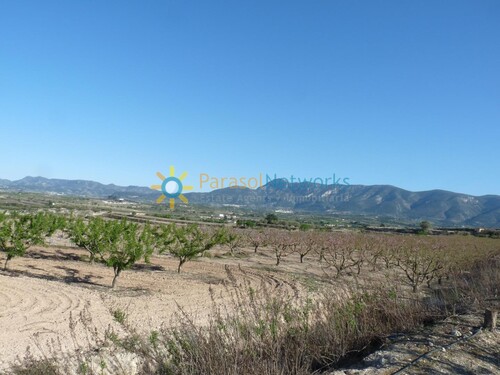 Foto - Grundstück zum Kaufen in Belgida